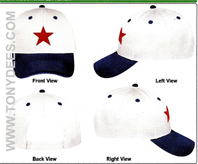 1919 DETROIT STARS CAP (flex-fit)